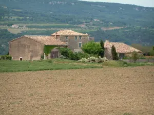 Luberon - Field, group of houses, trees, forest and hill