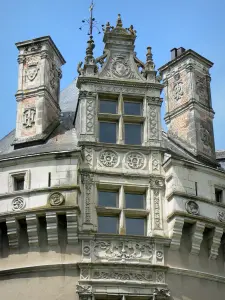 Le Lude castle - Detail of a castle tower