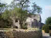 Lussan - Muur en stenen huis, bomen
