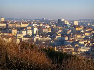 Lyon - Trees in foreground with view of the buildings of the city