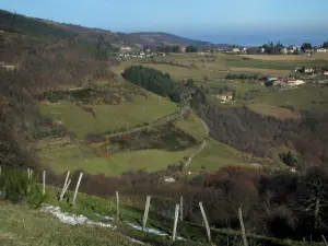 Lyonnais mounts - Hills, meadows, trees and houses