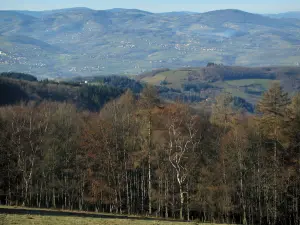 Lyonnais mounts - From Col de la Luère pass, view of trees (forest) and surrounding hills