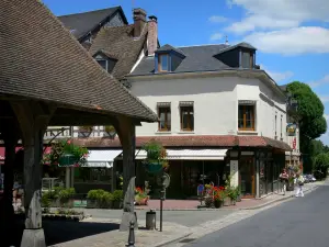 Lyons-la-Forêt - Houses, shops and covered market hall of the Benserade square