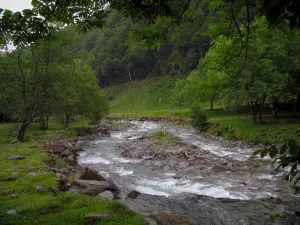 Lys valley - River, cliffs and trees, in the Pyrenees