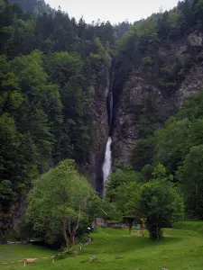 Lys valley - Enfer waterfall, in the Pyrenees