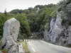 Macizo Aigoual - Carretera de montaña llena de piedras en el Parque Nacional de Cévennes (Cevennes montañas)