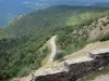 Macizo Aigoual - Bosque vista desde el lugar del observatorio meteorológico del Monte Aigoual, en el Parque Nacional de Cévennes (Cevennes montañas)
