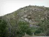 Macizo Aigoual - Árboles, arbustos, vegetación y rocas en el Parque Nacional de Cévennes (Cevennes montañas)