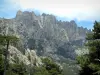 Macizo de Bavella - Pines y picos de granito (montaña corte crestas) Bavella
