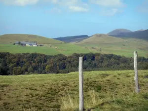 Macizo de Sancy - Montes Dore: una cerca de los pastos en primer plano con vista de los árboles, una granja y las colinas cubiertas de hierba, en el Parque Natural Regional de los Volcanes de Auvernia