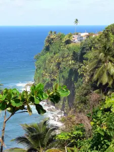 Macouba - Acantilado verde con vistas al Océano Atlántico