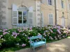 Maison de George Sand - Domaine de George Sand (château de Nohant) : façade de la demeure de George Sand, hortensias en fleurs et banc ; sur la commune de Nohant-Vic