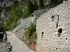 La Malène - Stone keerwanden, in het hart van de Gorges du Tarn, in het Parc National des Cevennes