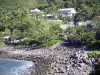 Manapany-les-Bains - Pebble beach and houses of the village in a green setting