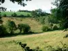 Mancelles Alpen - Hügelige Wiesen; im Regionalen Naturpark Normandie-Maine