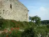 Mane - Ringmauer der mittelalterlichen Zitadelle und Weg gesäumt von Mohnblumen