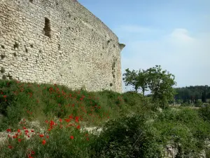 Mane - Surrounding wall of the medieval citadel and path lined with poppies