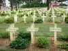 Maneira das senhoras - Túmulos do cemitério militar francês de Cerny-en-Laonnois