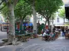 Manosque - Place de l'Hotel de Ville: terrasjes, platanen (bomen) en huizen in de oude stad