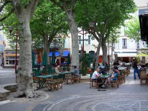 Manosque - Place de l'Hôtel de Ville : terrasses de café, platanes (arbres) et maisons de la vieille ville