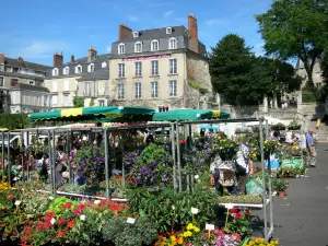 Le Mans - Marché sur la place des Jacobins avec ses stands de fleurs