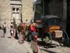 Le Mans - Promenade en calèche dans la cité Plantagenêt