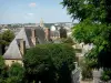 Le Mans - Uitzicht over de daken van de stad en het platteland