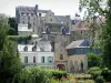 Le Mans - Façades de la vieille ville et verdure