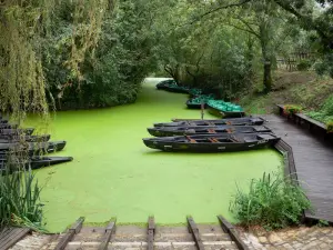 Marais poitevin - Wet palude: molo, le barche ormeggiate, la conchiglia (piccolo canale) di Venise Verte e alberi, Maillezais