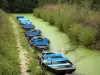 Marais poitevin - Marais mouillé : conche (petit canal) de la Venise verte avec des barques amarrées, à Maillezais