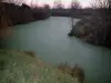 Marais poitevin - Herbes, voie d'eau et arbres