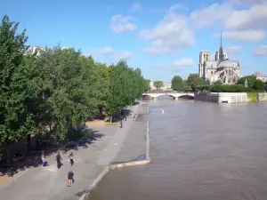 Márgenes del Sena - Dé un paseo por el Sena en el Quai de la Tournelle, con vistas a la Ile de la Cité y el ábside de la catedral de Notre-Dame