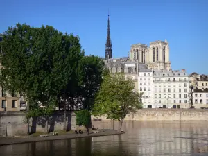 Márgenes del Sena - Quai de Bourbon en la vanguardia de la isla de Saint-Louis, en el primer plano con una vista de la flecha y las torres de la catedral de Notre Dame y los edificios de la Ile de la Cité