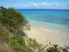 Marie-Galante - Pequeña playa de arena bordeada de vegetación con vistas al Mar Caribe