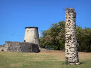 Marie-Galante - Habitation Murat : vue sur le moulin