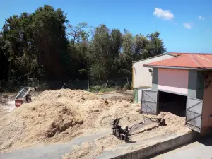 Marie-Galante - Domaine de Bellevue : bagasse, résidus de canne à sucre après broyage