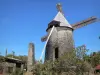 Marie-Galante - Windmühle der Brennerei Bellevue
