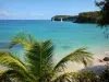 Marie-Galante - Blick auf die kleine Bucht Canot mit turkisfarbenem Meeerwasser