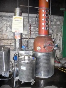 Marie-Galante - Visite de la distillerie Bielle produisant le rhum Bielle : alambic