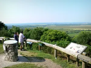 Marismas Marais Vernier - Panorama de Marismas Marais Vernier: signos punto de vista y educativo con vistas al paisaje de las marismas de Vernier y en el Parque Natural Regional Loops del Sena Normando