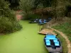 Marismas de Poitou - Wet pantanos: el muelle, los barcos amarrados, concha (canal pequeño) de la Venise Verte, en Maillezais