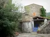 Le Mas Soubeyran - Hameau cévenol du Mas Soubeyran, sur la commune de Mialet, dans les Cévennes : maison en pierre et escalier orné de pots de fleurs