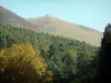 Massiccio del Sancy - Monts Dore pendii erbosi che si affacciano sul bosco (alberi) nel Parco Naturale Regionale dei Vulcani d'Alvernia