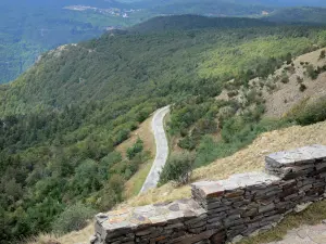 Massief van Aigoual - Bos uitzicht vanaf de site van de meteorologische observatorium van de Mont Aigoual, in het Parc National des Cevennes (Cevennes bergen)