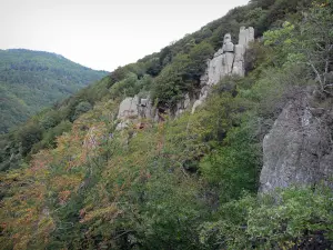 Massief van Aigoual - Rotsen en bomen in het Parc National des Cevennes (Cevennes bergen)