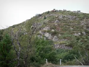 Massief van Aigoual - Bomen, struiken, vegetatie en rotsen in de Parc National des Cevennes (Cevennes bergen)