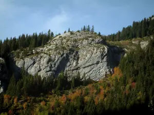Massief van les Aravis - Bos in de herfst en de rotswand van de Aravis