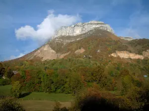 Massief van de Bauges - Regionale Natuurpark Massief van de Bauges: een bos in de herfst, kalkstenen kliffen en wolken in de blauwe hemel