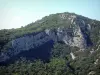 Massief van la Sainte-Baume - Rock muren, bomen en struikgewas