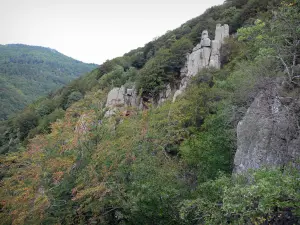 Massif de l'Aigoual - Rochers et arbres ; dans le Parc National des Cévennes (massif des Cévennes)